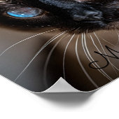 Mesmeriserende blik: Siamese kat Poster (Hoek)