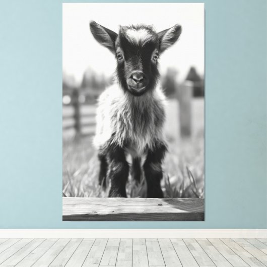 Mesmeriserende monochromatische Baby geitenportret Canvas Afdruk (Insitu (Houten vloer))