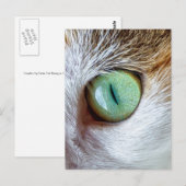 Mesmerizing Beauful Green Cat's Eye Briefkaart (Voorkant / Achterkant)
