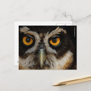 Mesmerizing Golden Eyes of a Spectacled Owl Briefkaart