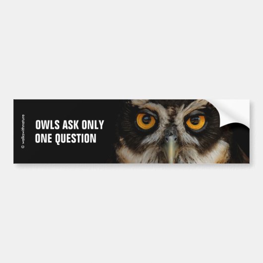 Mesmerizing Golden Eyes of a Spectacled Owl Bumpersticker (Voorkant)