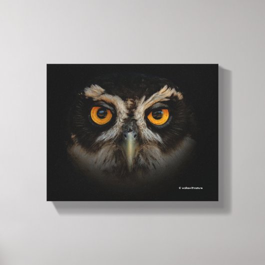 Mesmerizing Golden Eyes of a Spectacled Owl Canvas Afdruk (Voorkant)