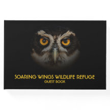 Mesmerizing Golden Eyes of a Spectacled Owl