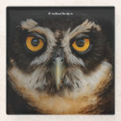 Mesmerizing Golden Eyes of a Spectacled Owl Glazen Onderzetter (Voorkant)