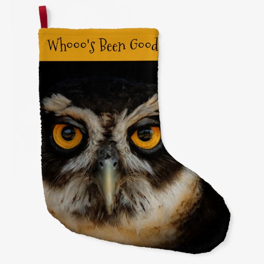 Mesmerizing Golden Eyes of a Spectacled Owl Grote Kerstsok (Voorkant)