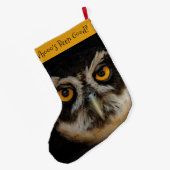Mesmerizing Golden Eyes of a Spectacled Owl Grote Kerstsok (Achterkant (Hangend))
