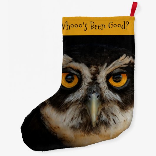 Mesmerizing Golden Eyes of a Spectacled Owl Grote Kerstsok (Achterkant)
