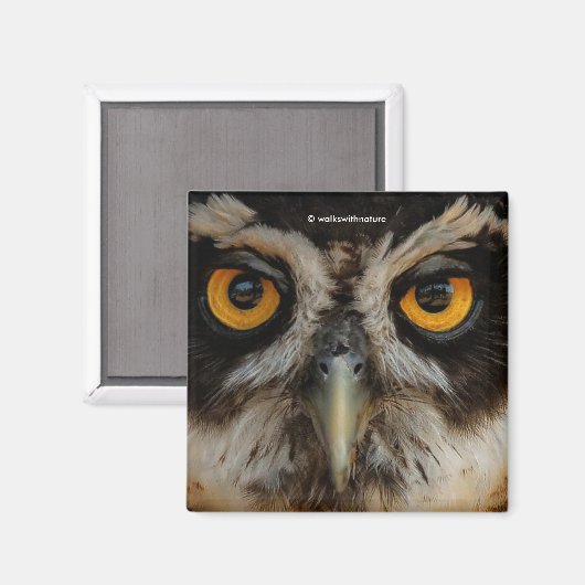 Mesmerizing Golden Eyes of a Spectacled Owl Magneet (Voorkant / Achterkant)
