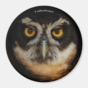 Mesmerizing Golden Eyes of a Spectacled Owl Magneet