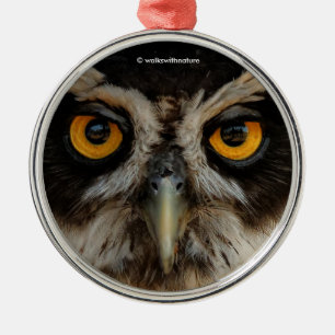 Mesmerizing Golden Eyes of a Spectacled Owl Metalen Ornament