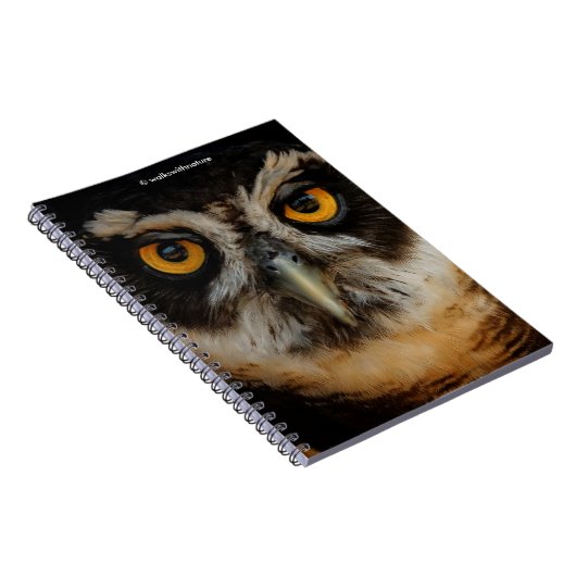 Mesmerizing Golden Eyes of a Spectacled Owl Notitieboek (Rechterzijde)