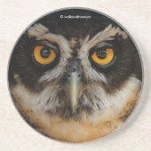 Mesmerizing Golden Eyes of a Spectacled Owl Zandsteen Onderzetter (Voorkant)