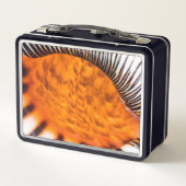 Mesmerizing seashell (Achterkant)