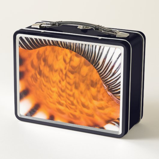 Mesmerizing seashell (Achterkant)