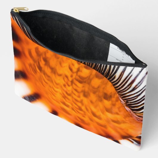 Mesmerizing seashell etui (Open)