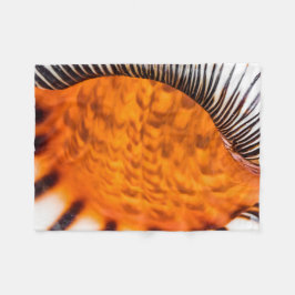 Mesmerizing seashell fleece deken