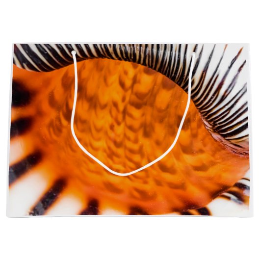 Mesmerizing seashell groot cadeauzakje (Voorkant)