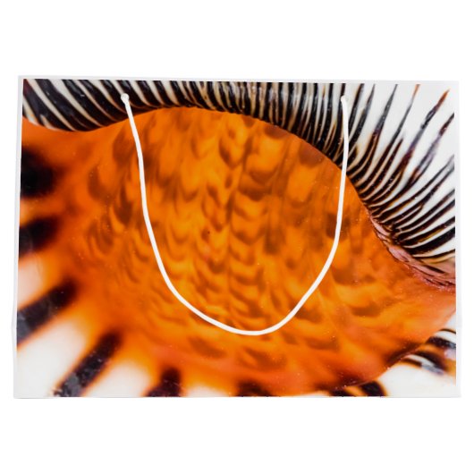 Mesmerizing seashell groot cadeauzakje (Achterkant)