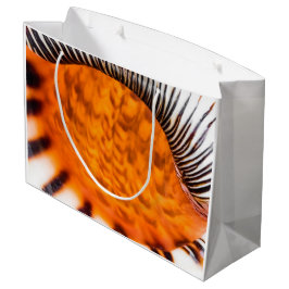 Mesmerizing seashell groot cadeauzakje