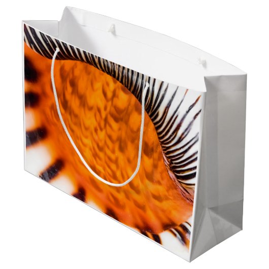 Mesmerizing seashell groot cadeauzakje (Achterkant Gekanteld)