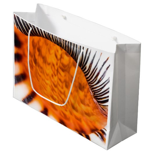 Mesmerizing seashell groot cadeauzakje (Voorkant Gekanteld)