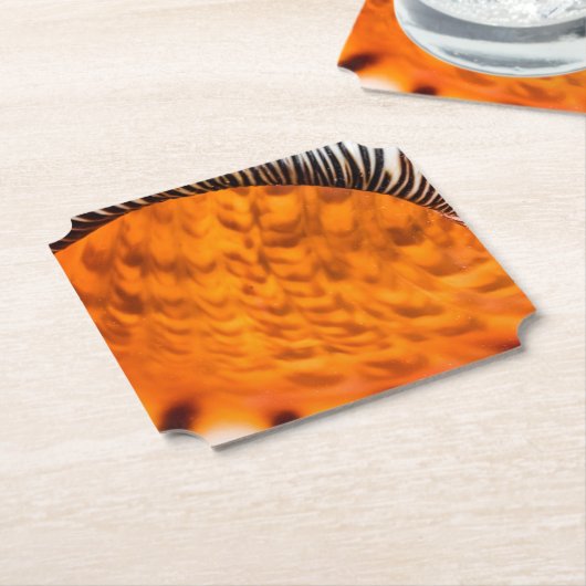 Mesmerizing seashell kartonnen onderzetters (Gekanteld)