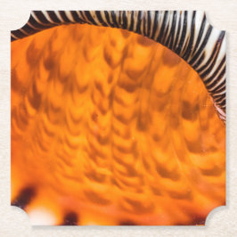 Mesmerizing seashell kartonnen onderzetters