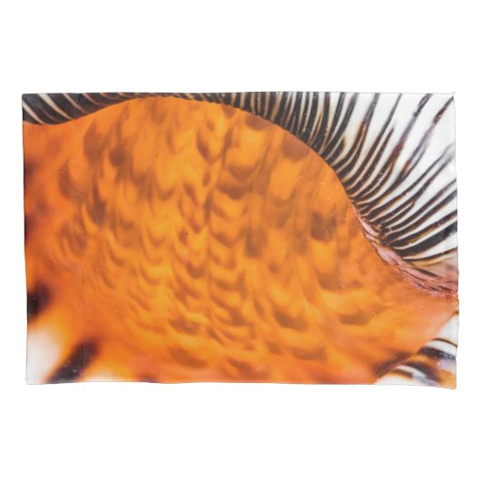 Mesmerizing seashell kussensloop (Voorkant)