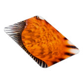 Mesmerizing seashell magneet (Rechterzijde)