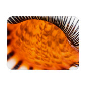 Mesmerizing seashell magneet (Horizontaal)