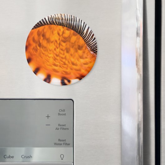 Mesmerizing seashell magneet (Insitu (Koelkast))