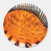Mesmerizing seashell magneet (Voorkant)