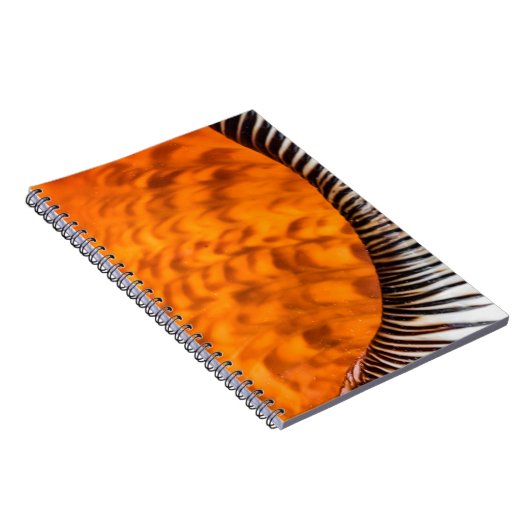 Mesmerizing seashell notitieboek (Rechterzijde)