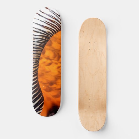 Mesmerizing seashell persoonlijk skateboard (Voorkant)