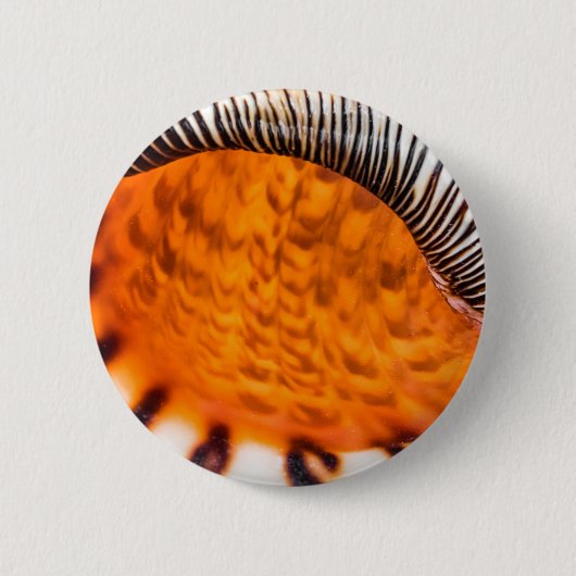 Mesmerizing seashell ronde button 5,7 cm (Voorkant)