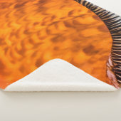 Mesmerizing seashell sherpa deken (3/4)