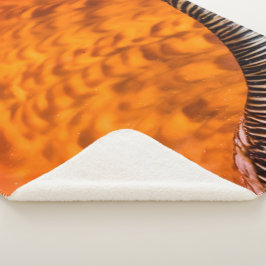 Mesmerizing seashell sherpa deken