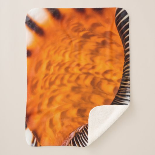 Mesmerizing seashell sherpa deken (Voorkant)