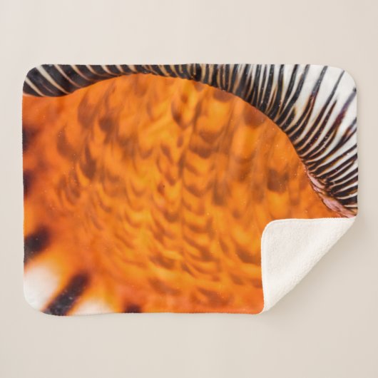 Mesmerizing seashell sherpa deken (Voorkant (horizontaal))