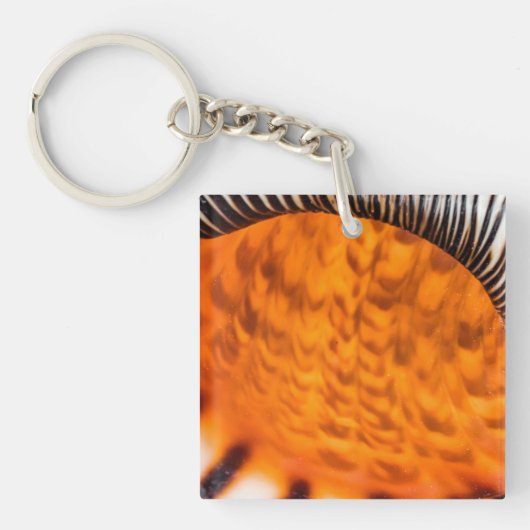 Mesmerizing seashell sleutelhanger (Voorkant)