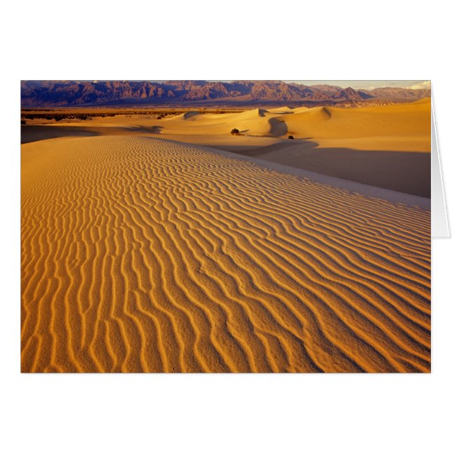 Mesquite Flat zandduinen in Death Valley (Voorkant Horizontaal)