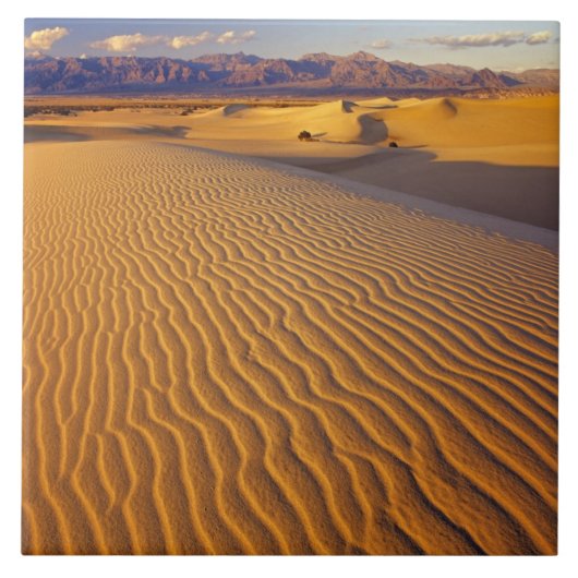 Mesquite Flat zandduinen in Death Valley Tegeltje (Voorkant)