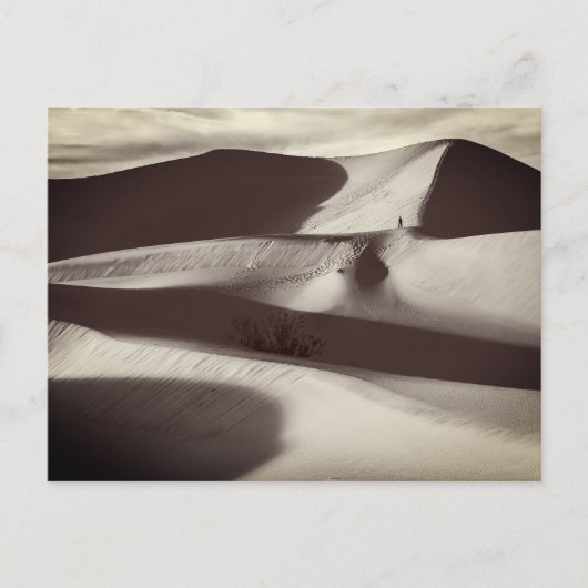Mesquite Sand Dunes Death Valley Briefkaart (Voorkant)
