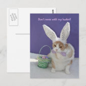 Mess niet met mijn mandje! briefkaart (Voorkant / Achterkant)