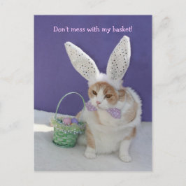 Mess niet met mijn mandje! briefkaart