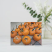 Mess of Pumpkins Briefkaart (Staand voorkant)