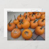 Mess of Pumpkins Briefkaart (Voorkant / Achterkant)