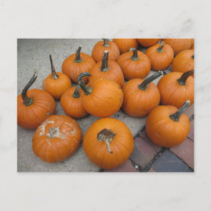 Mess of Pumpkins Briefkaart