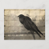 Messenger () briefkaart (Voorkant)