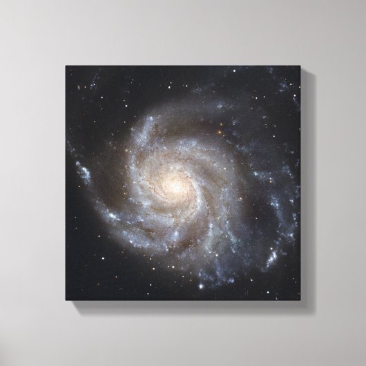 Messier 101, de Pinwheels Galaxy Canvas Afdruk (Voorkant)